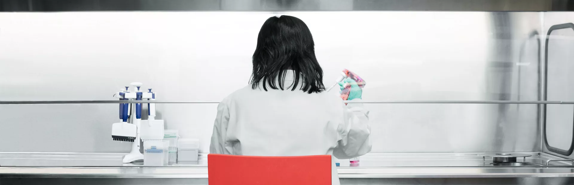 Scientist at a cell culture hood