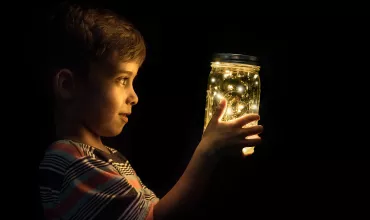 Young boy looking at fireflies