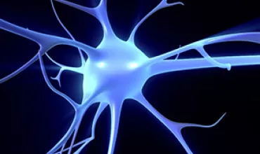 neuron neuro bio teaser