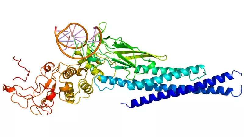 State, a cancer driving protein