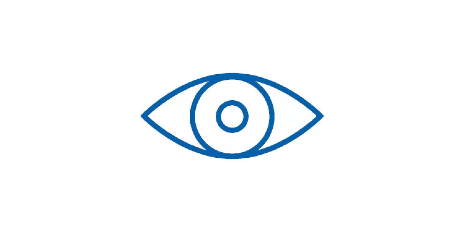 Icon of eye