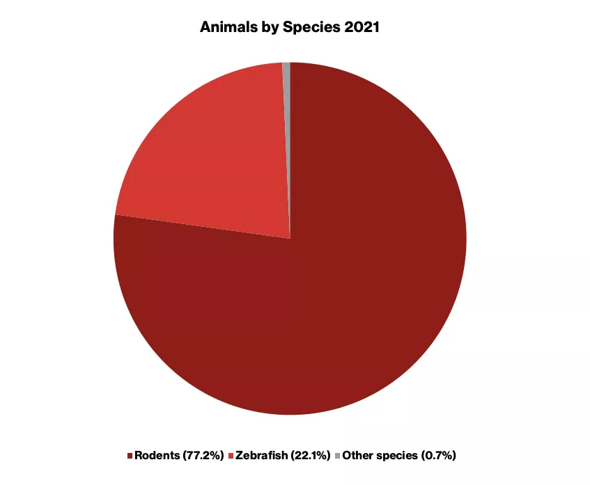 Animals by species 2021 chart