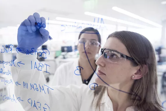 Biologists at Novartis collaborating to develop new medicines