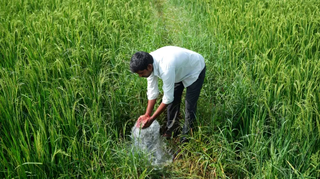 K Malesh, a farmer in the village of Sollakpally, now has ready access to water to irrigate his crops.